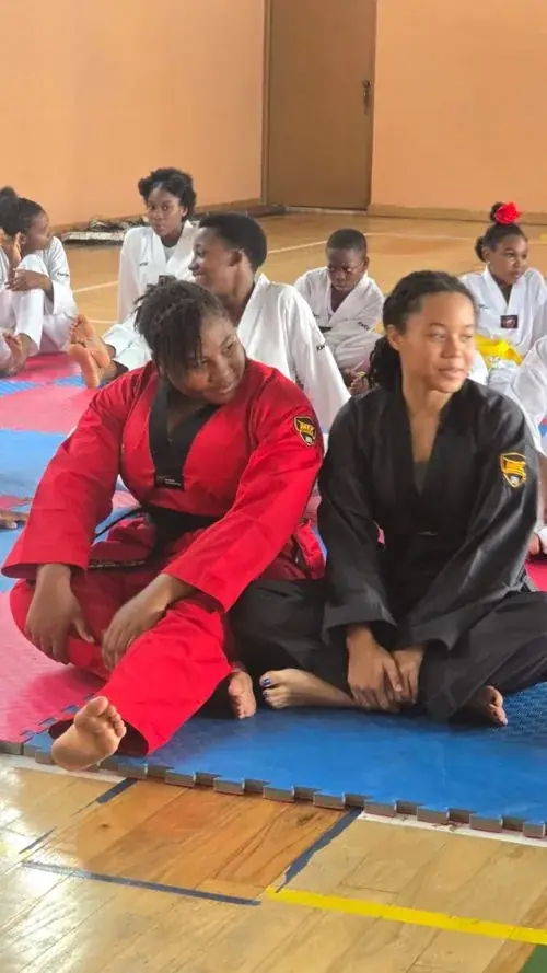 A taekwondo student in a ready stance